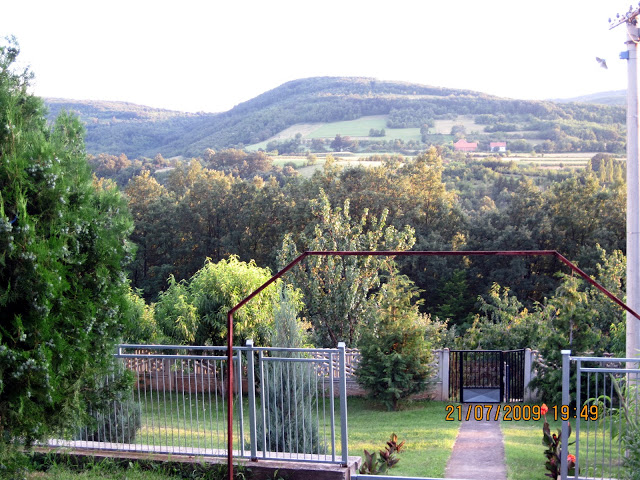 Domaćinstvo Radmila Radivojević 11